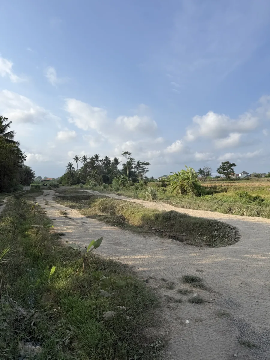 Wide track beside tropical fields